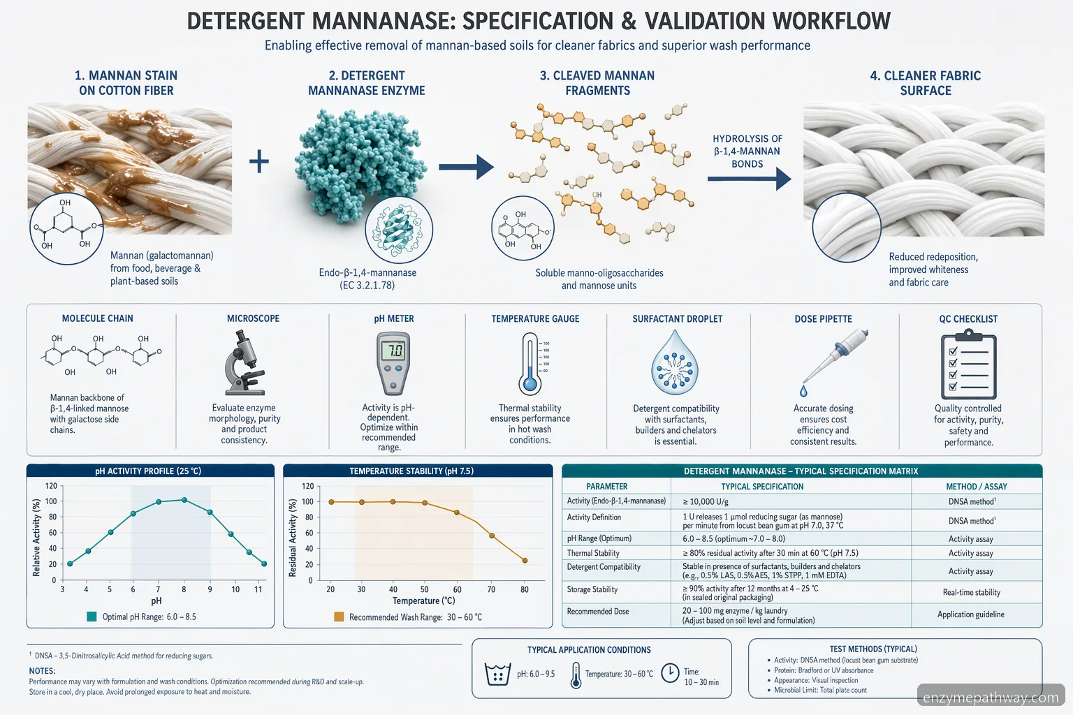 Diagram over specifikationscheckliste for detergent mannanase, der sammenligner pH, temperatur, tensidkompatibilitet og dosering