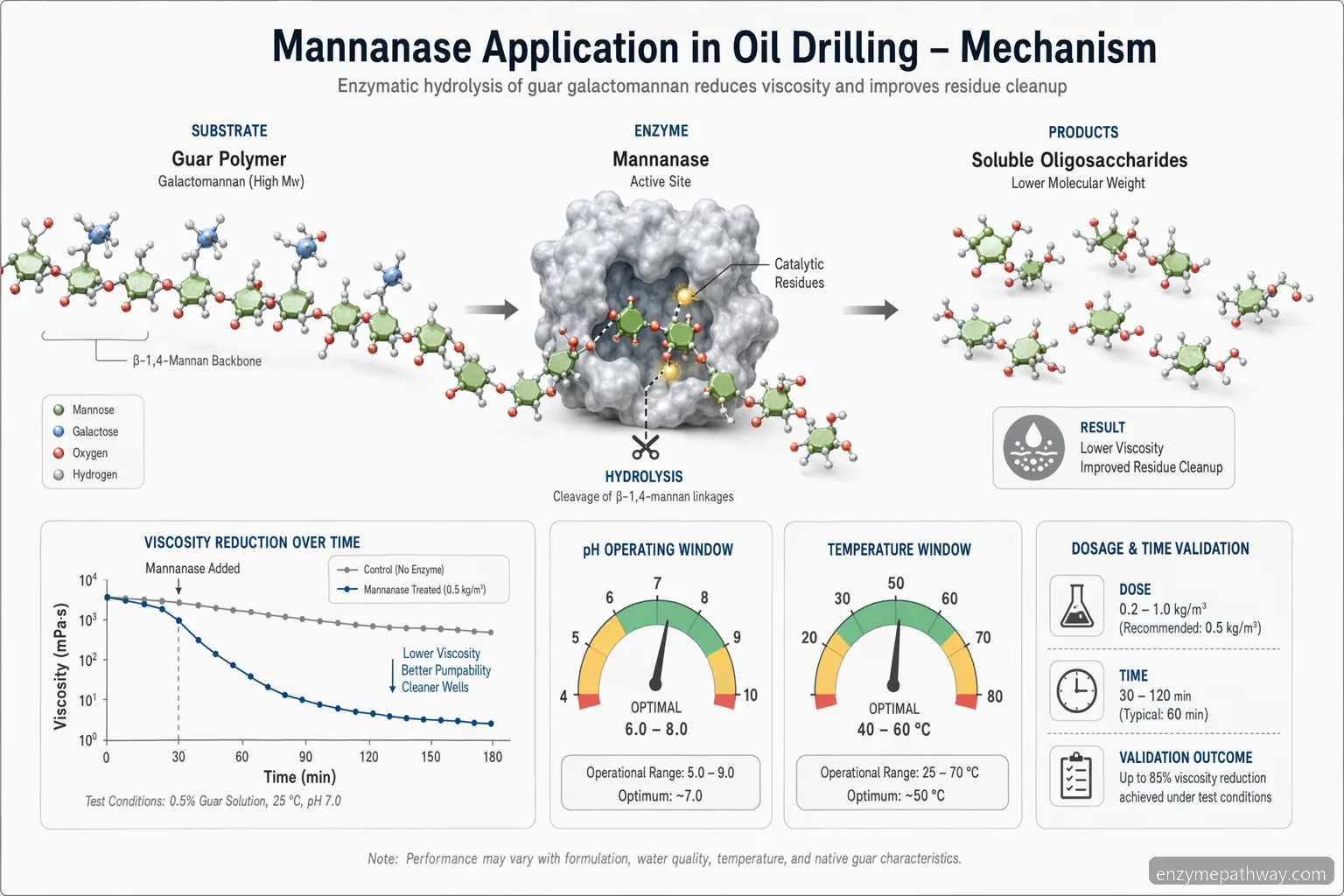 mannanase-Anwendungsdiagramm in Ölbohrungen mit Guar-Polymerhydrolyse, geringerer Viskosität und besserer Filterbarkeit