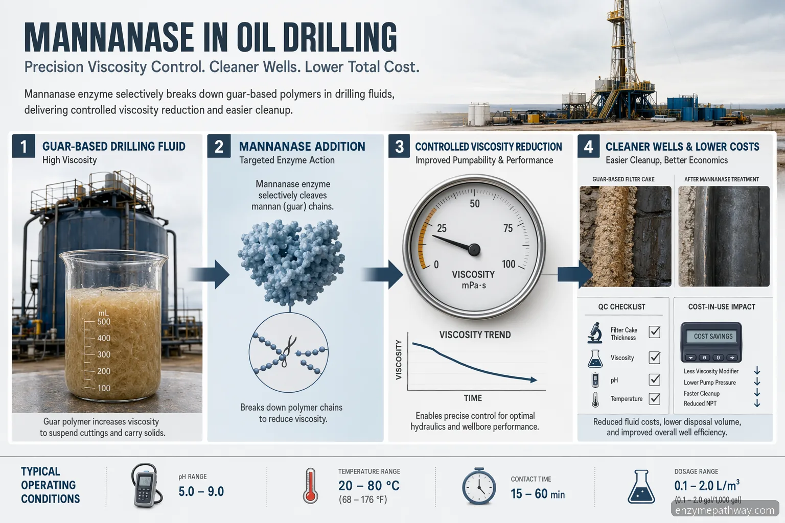 mannanase-Anwendung in Ölbohrungen: Infografik zu Enzymdosierung, Viskositätsreduktion, Rückstandsreinigung und QC-Prüfungen