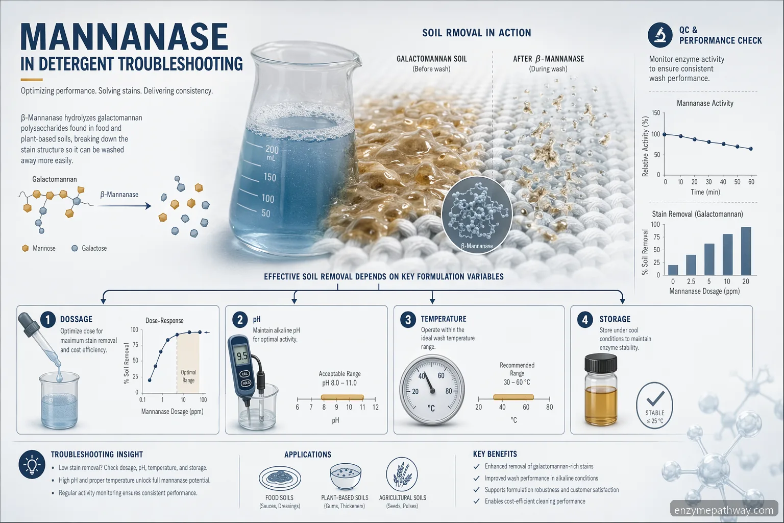 mannanase in detergent dosage troubleshooting infographic showing dose, pH, temperature, and stain removal factors