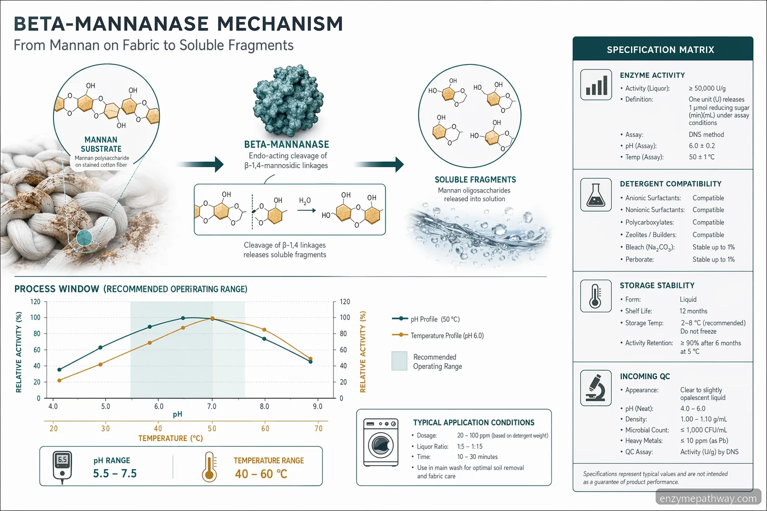 Diagramma di processo su mannanase in laundry detergent che mostra l'idrolisi delle macchie di beta-mannan lungo pH e temperatura