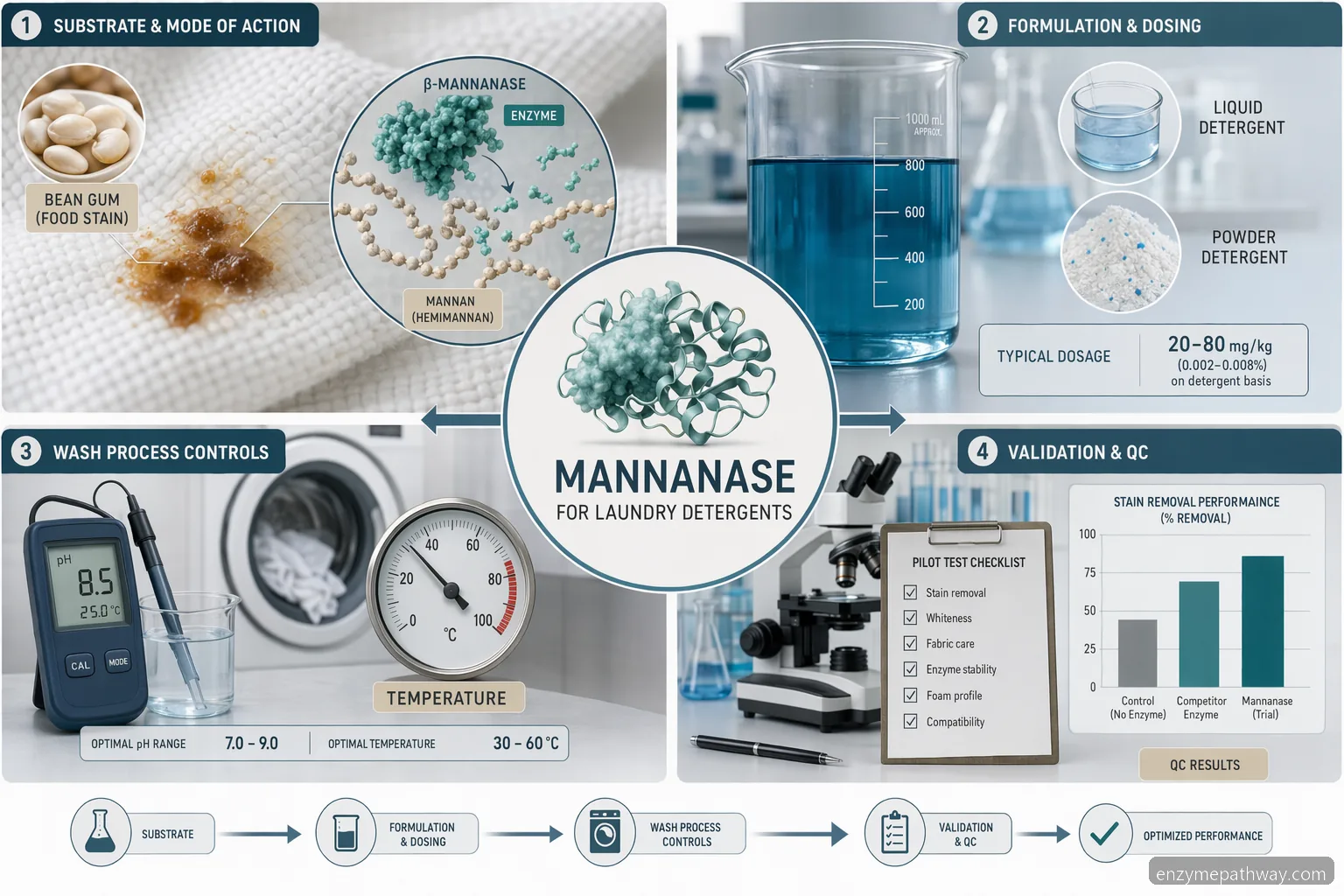 Guida di processo su mannanase in laundry detergent con rimozione delle macchie, dosaggio, validazione e controlli QC
