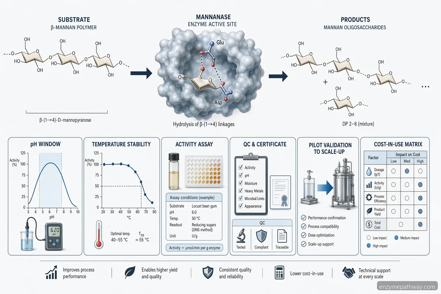 mannanase production process diagram mapping substrate conversion, pH-temperature windows, QC checks, and pilot validation