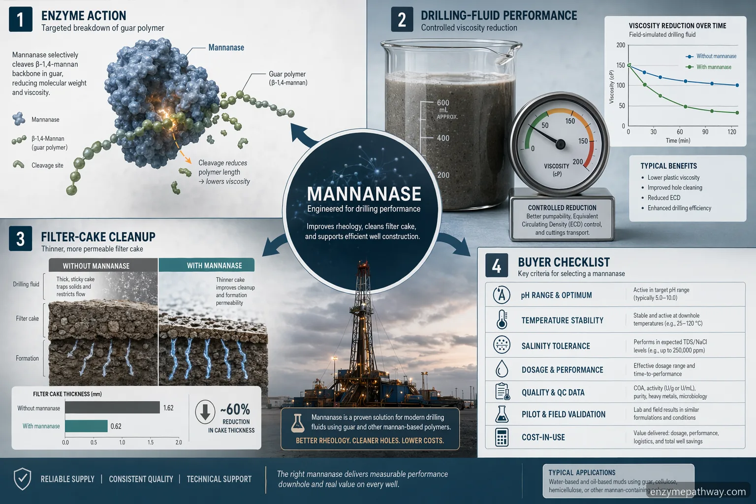 Mannanase-Lieferantenleitfaden für Ölbohrungen: Infografik zu Enzymauswahl, QC-Daten, Verträglichkeit und Kosten pro Einsatz