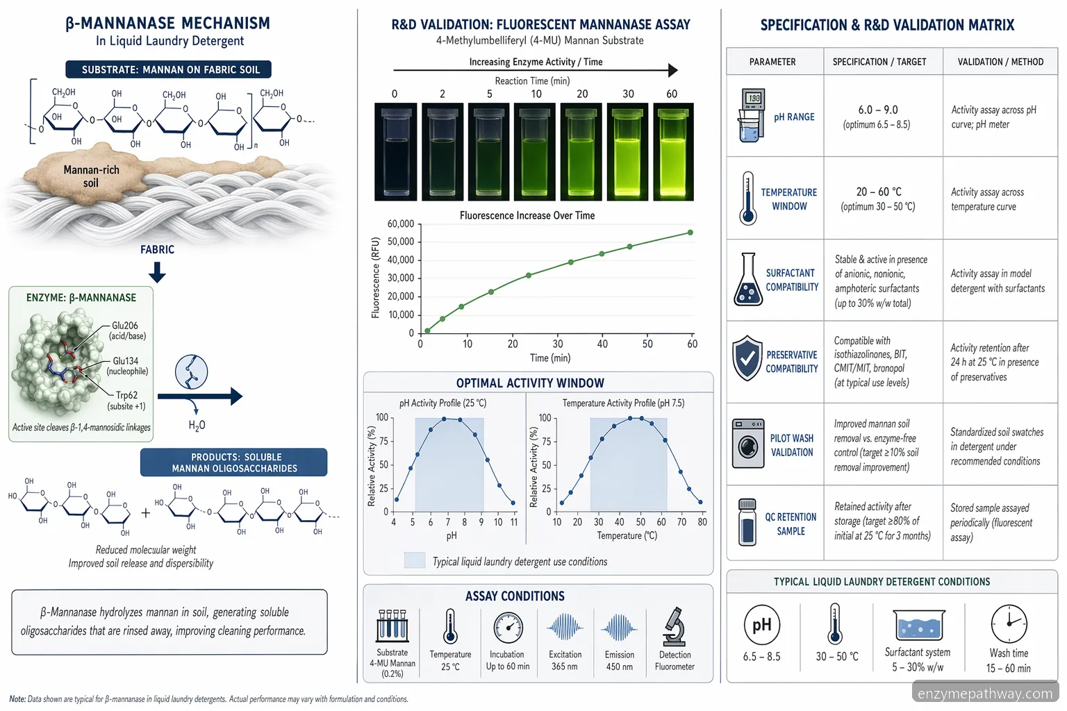 new-liquid-tide-w-mannanase-fluorescent-diagram-in-laundry-detergent med assay- og reaktionsflow for Mannanase formulations
